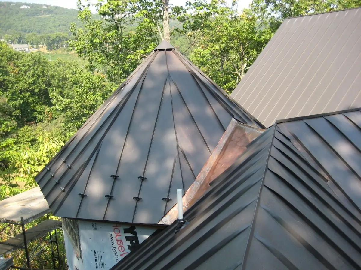 Professional Gutter Cleaning by Craftsman Roofing in Larchmont Village